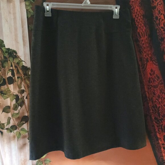 EUC: Dana Buchman Size L Dark Gray A-Line Knee-Length Skirt - Picture 1 of 5